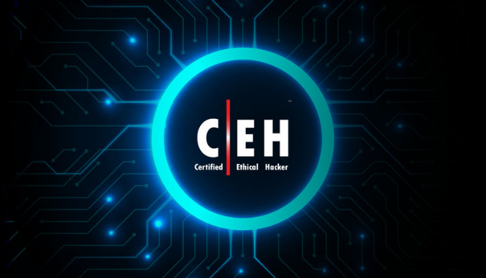 Certified Ethical Hacker (CEH) Version 11 Part 1: Foundations (ECC 312-50)